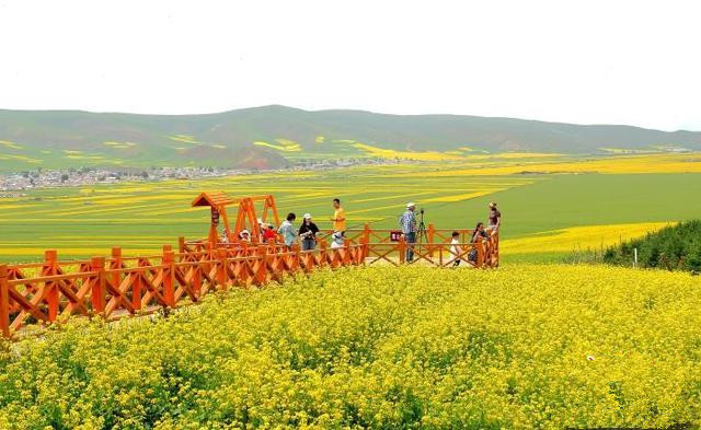 青島推動文旅項目多領(lǐng)域、多業(yè)態(tài)、多層次發(fā)展