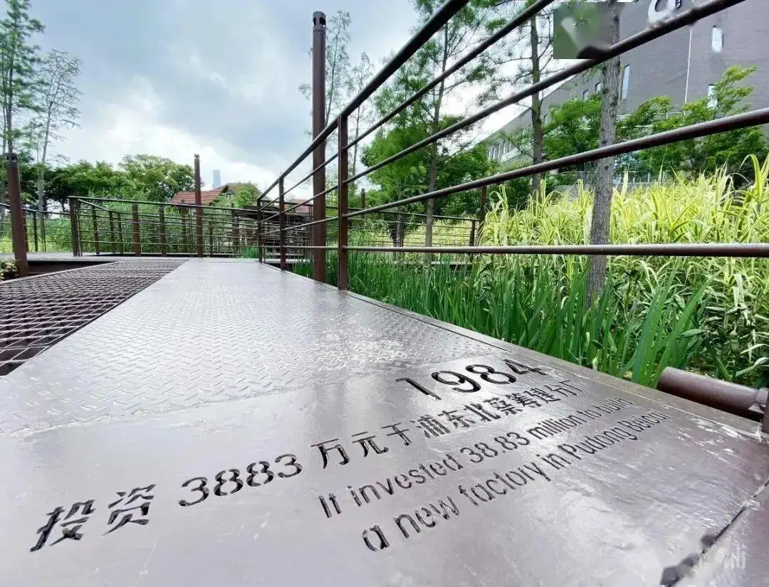 5.5公里楊浦濱江岸線，楊樹浦路變身“露天博物館”